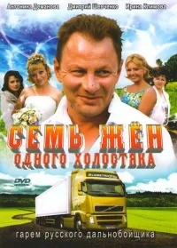 Постер сериала Семь жен одного холостяка