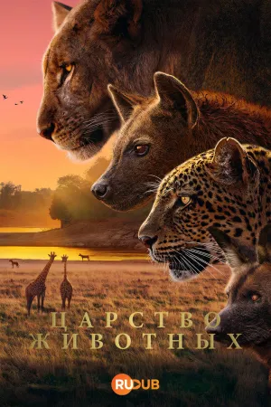 Постер сериала Царство животных