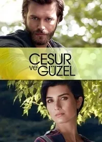 Постер сериала Отважный и красавица