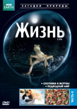 Постер сериала BBC: Жизнь