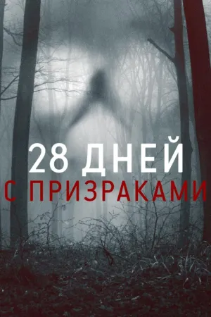 Постер сериала 28 дней с призраками