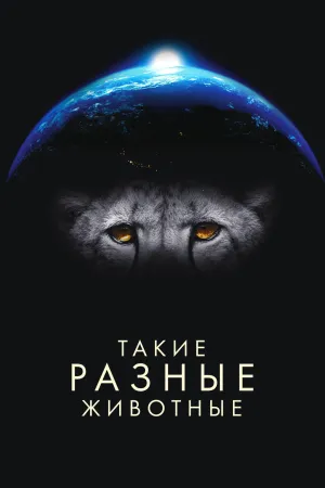 Постер сериала Такие разные животные