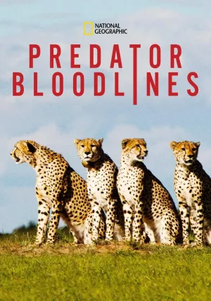 Постер сериала Родословные хищников