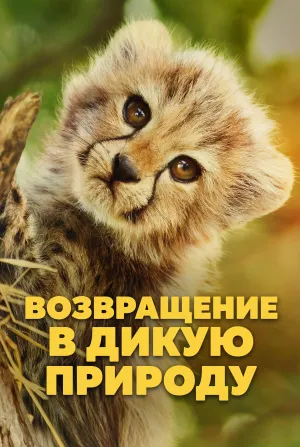 Постер сериала Возвращение в дикую природу