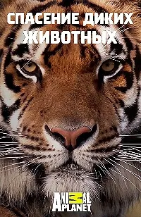 Постер сериала Спасение диких животных