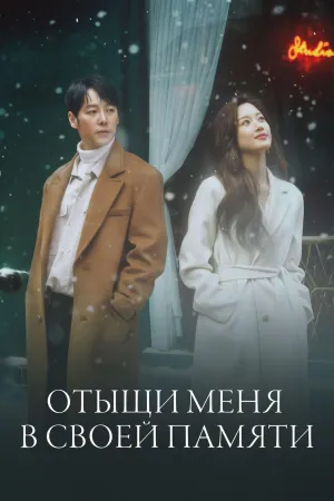 Постер сериала Отыщи меня в своей памяти