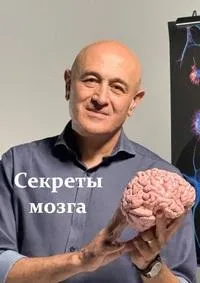Постер сериала Секреты мозга