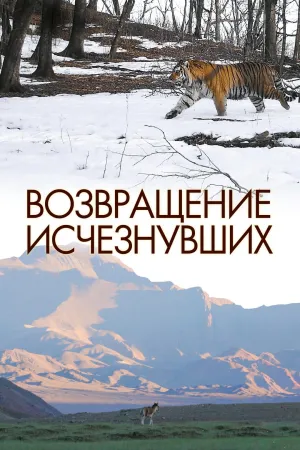 Постер сериала Возвращение исчезнувших