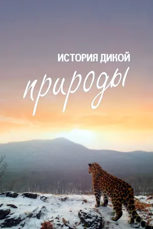 Постер сериала История дикой природы