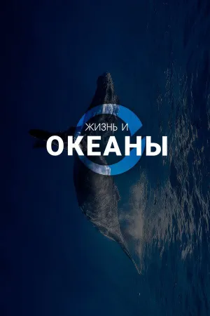 Постер сериала Жизнь и Океаны