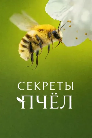 Постер сериала Секреты пчел