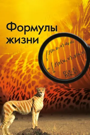 Постер сериала Формулы жизни