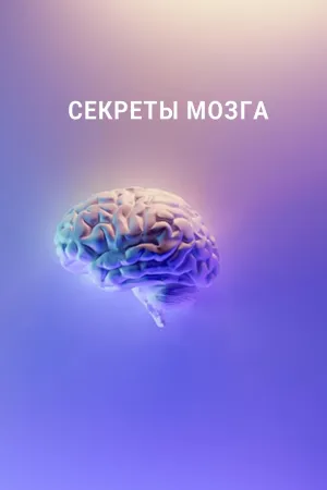 Постер сериала Секреты мозга (2016)