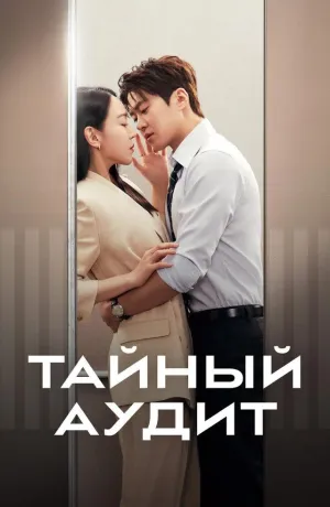 Постер сериала Тайный аудит