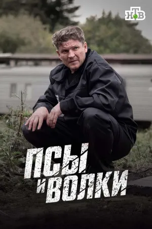 Постер сериала Псы и волки