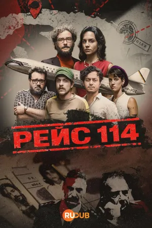 Постер сериала Рейс 114