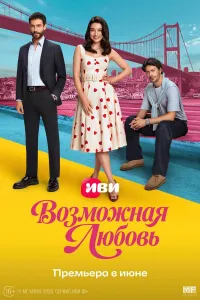 Постер сериала Возможно любовь