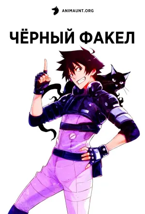 Постер сериала Черный факел