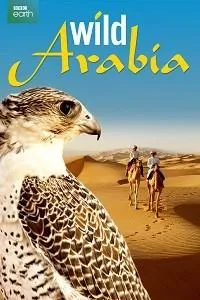 Постер сериала Дикая Аравия