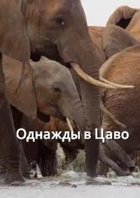 Постер сериала Однажды в Цаво