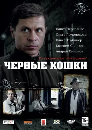 Постер сериала Черные кошки
