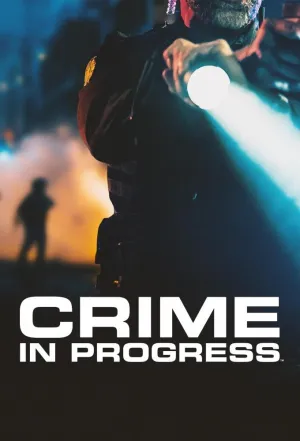 Постер сериала Расследование преступлений