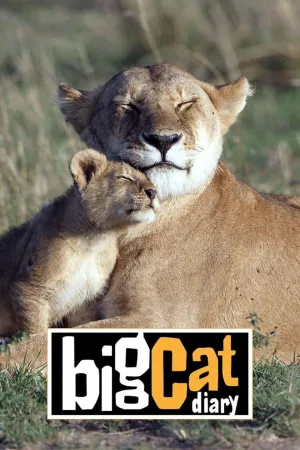 Постер сериала Дневник большой кошки, 6 сезон