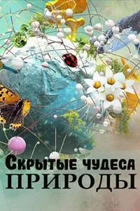 Постер сериала Скрытые чудеса природы