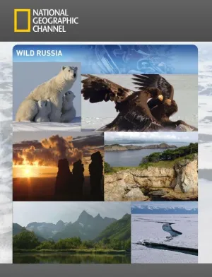 Постер сериала Дикая природа России