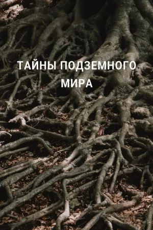 Постер сериала Тайны подземного мира