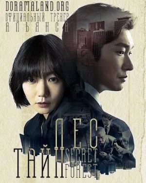 Постер сериала Тайный лес