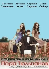 Постер сериала Пора тюльпанов