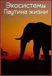 Постер сериала Экосистемы. Паутина жизни