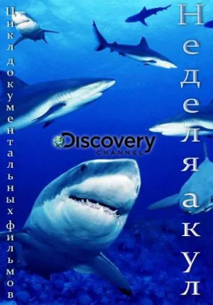 Постер сериала Неделя акул