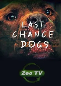 Постер сериала Осторожно, злая собака