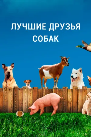 Постер сериала Лучшие друзья собаки