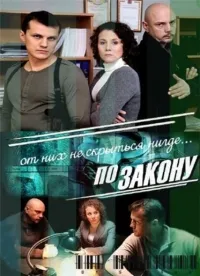Постер сериала По закону