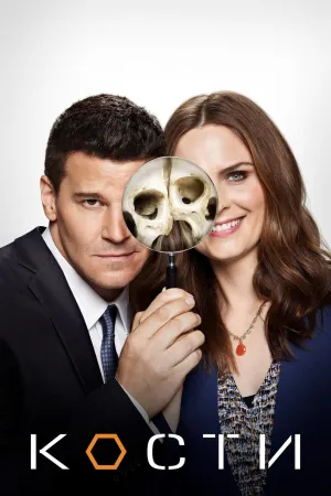 Постер сериала Кости, 6 сезон