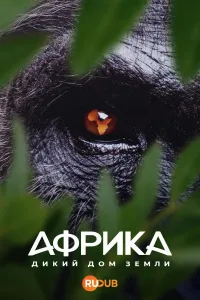 Постер сериала Африка: Дикий дом Земли