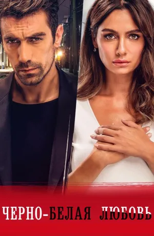 Постер сериала Черно-белая любовь