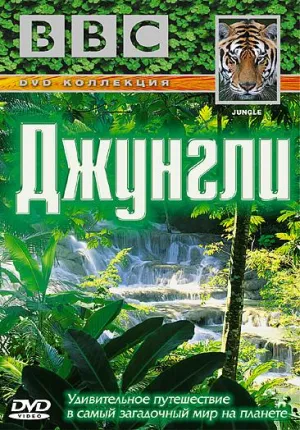 Постер сериала Джунгли
