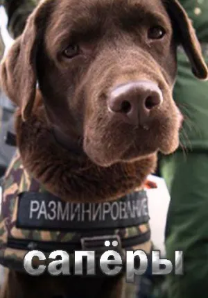 Постер сериала Саперы