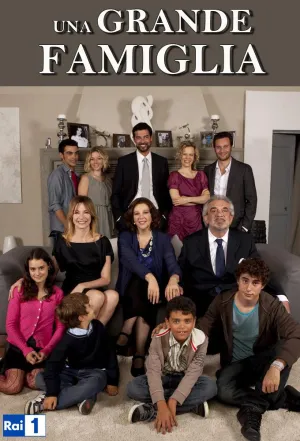 Постер сериала Большая семья