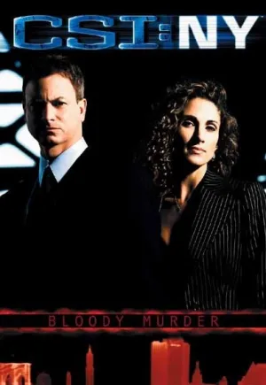 Постер сериала Место преступления: Нью-Йорк, 6 сезон